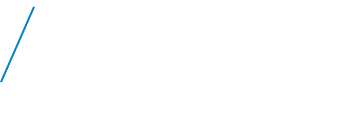 Insight Report 2020